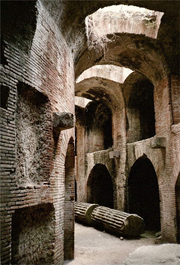 it pozz 43393_39.jpg